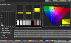 ColorChecker (Profil : Professionnel, Espace couleur cible : sRGB)