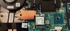 Le SSD du NVMe est équipé d'un diffuseur de chaleur