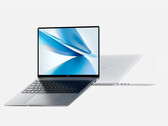 Tous les modèles MagicBook 14 2022 sont proposés dans les coloris Glacial Silver et Starry Sky Gray. (Image source : Honor)