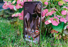 Le Pixel 8 Pro a gagné près de 40 correctifs avec sa mise à jour de décembre 2023. (Source de l'image : Notebookcheck)