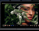 Nikon's NX Studio est une application gratuite d'édition d'images et de films pour les PC et Mac Windows. (Image : Nikon)