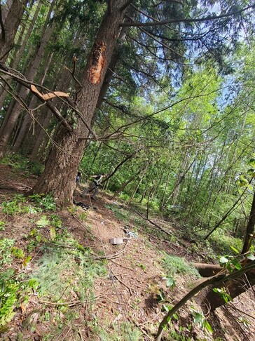 La première chute d'arbre s'est produite à une hauteur de 20 pieds...