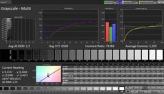 Niveaux de gris (profil : Professionnel, espace couleur cible : sRGB)