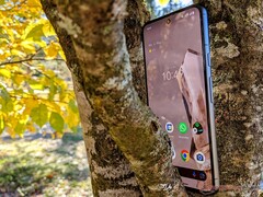 Le Pixel 8 ne parvient pas à tenir les promesses de Google en matière d&#039;IA. (Image : Notebookcheck)