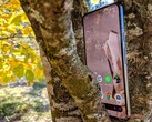 Le Pixel 8 ne parvient pas à tenir les promesses de Google en matière d'IA. (Image : Notebookcheck)