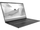 Le portable VIA 15 Pro dispose toujours d'un très bon écran LCD FHD avec une gamme de couleurs 100% sRGB. (Source de l'image : Schenker)