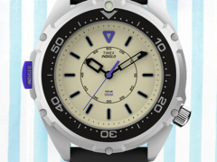 La Timex Intrepid x Dimepiece Edition (photo). (Source de l&#039;image : Timex)