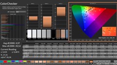 CalMAN : ColorChecker
