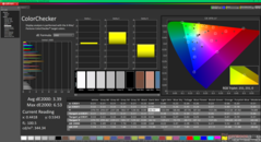 ColorChecker (vs. P3)
