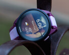 La Forerunner 165 est l'une des cinq smartwatches pour lesquelles Garmin a publié la version logicielle 24.12. (Source : Garmin)