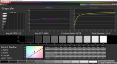 CalMAN Grayscale (espace couleur cible P3)