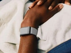 Le tracker de Whoop présente apparemment des problèmes importants (Source de l&#039;image : Whoop)