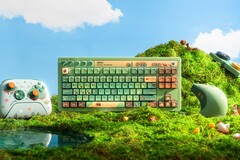 Les nouveaux produits Xbox de 8BitDo présentent un design inspiré de la nature.