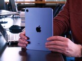 L'iPad mini 6 ne souffre pas plus du défilement en gelée que les autres iPads. (Image source : iFixit)