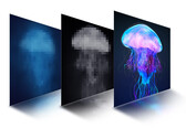La technologie miniLED de TCL. (Source : TCL)