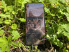 Xiaomi Poco F7