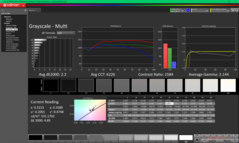 Niveaux de gris avant étalonnage (P3)