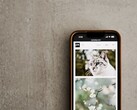 Un smartphone posé sur une surface grise, avec une galerie de photos de chats et de fleurs à l'écran