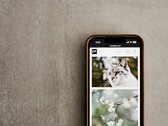 Un smartphone posé sur une surface grise, avec une galerie de photos de chats et de fleurs à l'écran