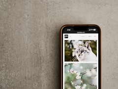 Un smartphone posé sur une surface grise, avec une galerie de photos de chats et de fleurs à l'écran