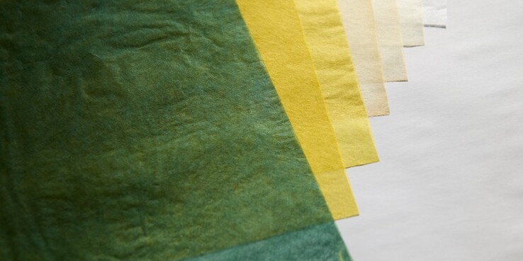 Papier japonais washi, teinté au chitose midori, un pigment vert traditionnel japonais.