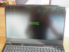 Schenker XMG Neo 17 - L'écran en pleine lumière.