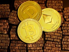 Le portefeuille de crypto-monnaies d&#039;Elon Musk ne comprend pas la Shiba Inu Coin, mais le Bitcoin, l&#039;Ethereum et le Dogecoin (Image : Executium)