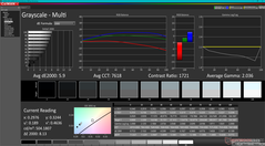 Echelle de gris avant calibration (vs. P3)