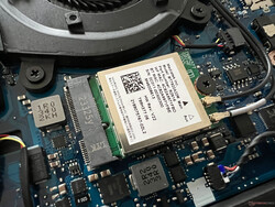 Le module WLAN de MediaTek peut être remplacé.