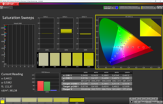 CalMAN saturation calibrée