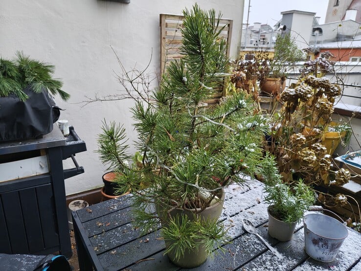 Photo avec l'appareil photo principal