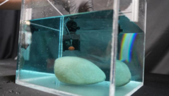 L'adhésif nouvellement développé peut augmenter sa force de préhension jusqu'à 1 000 fois lorsqu'il est activé et libérer les objets en seulement 30 millisecondes. (Source de l'image : Alex Parrish / Virginia Tech)