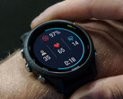 La série Garmin Forerunner 255 a reçu sa première version bêta. (Image source : Garmin)