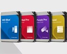 Options de stockage des disques durs Western Digital. (Source de l'image : Western Digital)