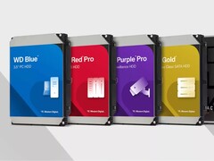 Options de stockage des disques durs Western Digital. (Source de l&#039;image : Western Digital)