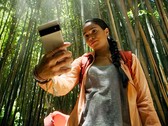 Google a apporté de nouvelles fonctionnalités de sécurité à sa suite de smartphones Pixel avec le June 2023 Feature Drop. (Source de l'image : Google)