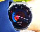 Huawei déploie actuellement une nouvelle mise à jour du système pour la Watch GT 3 Pro en Europe. (Source de l'image : NotebookCheck)