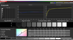 CalMAN niveaux de gris calibrés