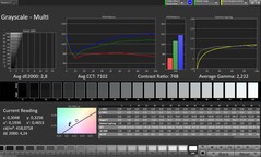 CalMAN échelle de gris