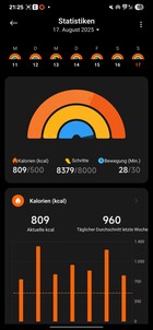Xiaomi Smart Band 10 Activité
