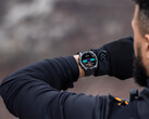 Il reste à voir si Garmin proposera également de nouvelles fonctionnalités pour les smartwatches existantes, comme la Fenix 8. (Source de l'image : Garmin)