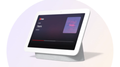 Le Nest Hub. (Source : Google)