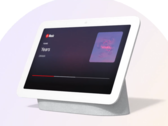 Le Nest Hub. (Source : Google)