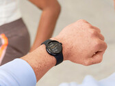 La Pixel Watch 2 LTE est la seule Pixel Watch SKU à recevoir la mise à jour de ce mois-ci. (Source de l'image : Google)