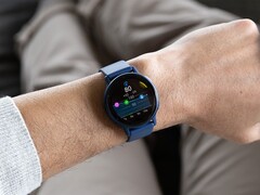 La version bêta 13.17 de Garmin améliorerait la mesure de la batterie corporelle pour certaines smartwatches. (Source de l'image : Garmin)