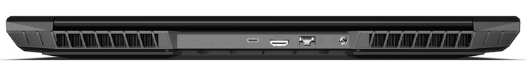 Arrière : alimentation, 2,5 Gbit (LAN), HDMI 2.1 (avec HDCP 2.3), Thunderbolt 4/USB-C 4.0 Gen3 (DisplayPort 1.4a, compatible G-SYNC, sans alimentation) (source d'image : Schenker)