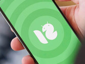 Xiaomi devrait apporter Android 12 à de nombreux appareils, mais pas à la série Redmi K20 ou Mi 9. (Image source : Xiaomiadictos)