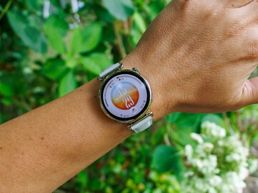 Modèle d'extérieur 41 mm