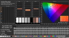 CalMAN : ColorChecker (calibré)