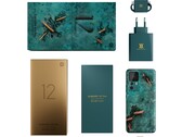 Le Xiaomi 12T Pro Daniel Arsham Edition est livré avec une boîte et des accessoires assortis. (Image source : Xiaomi)